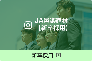 新卒採用
