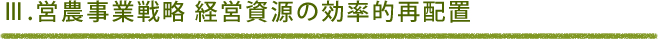 Ⅲ.営農事業戦略 経営資源の効率的再配置